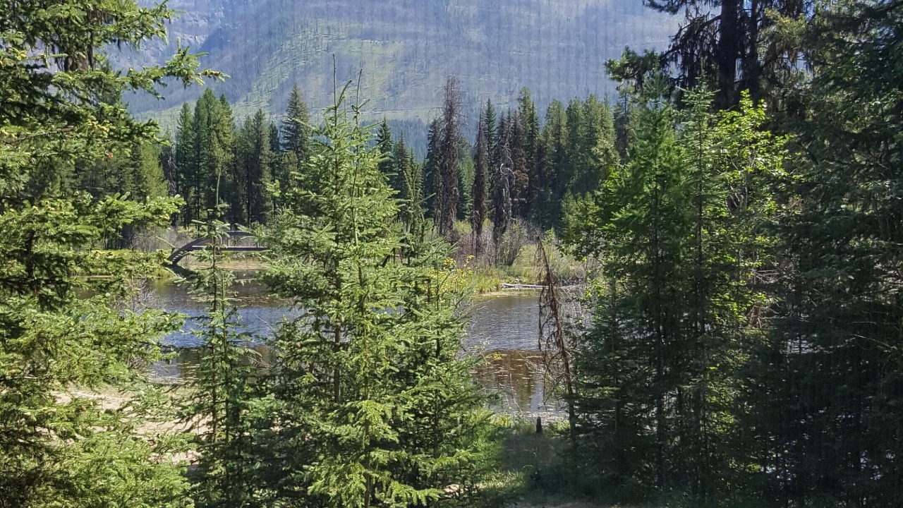 Photo of Outdoor in Condon