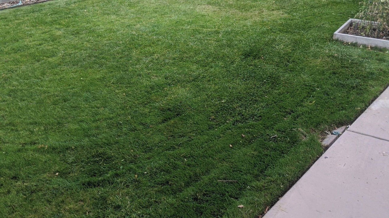 Photo of Outdoor in East Central
