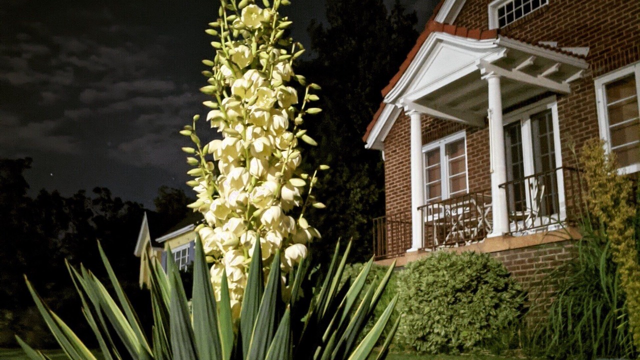 Photo of Outdoor in East Central