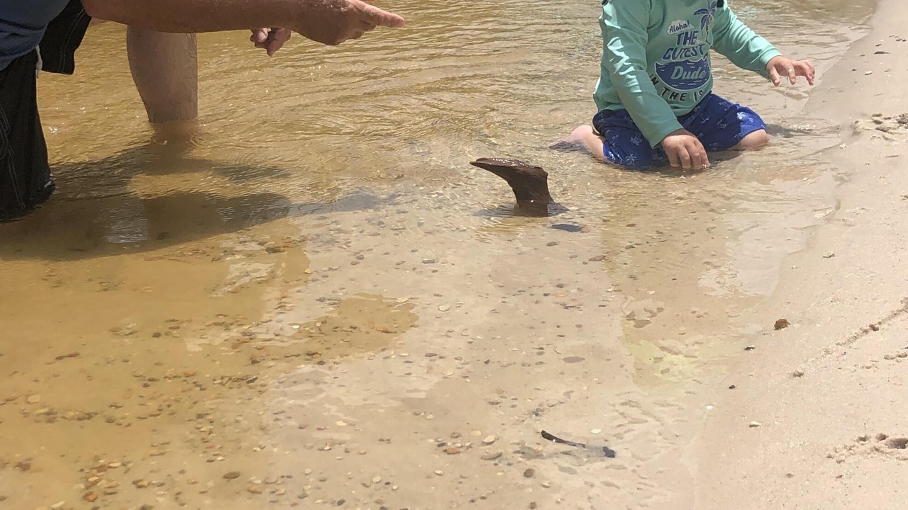Photo of Others in Perkinston
