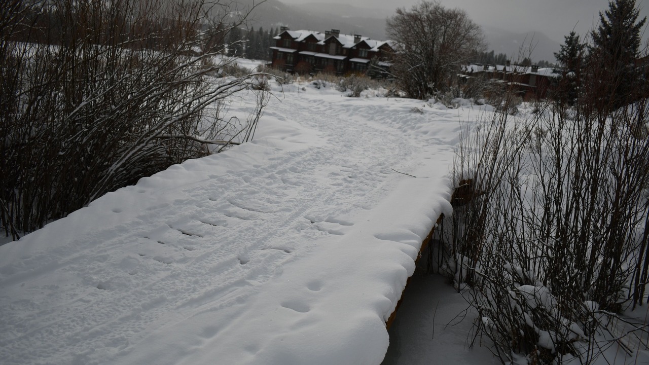 Photo of Others in Big Sky Meadow Village