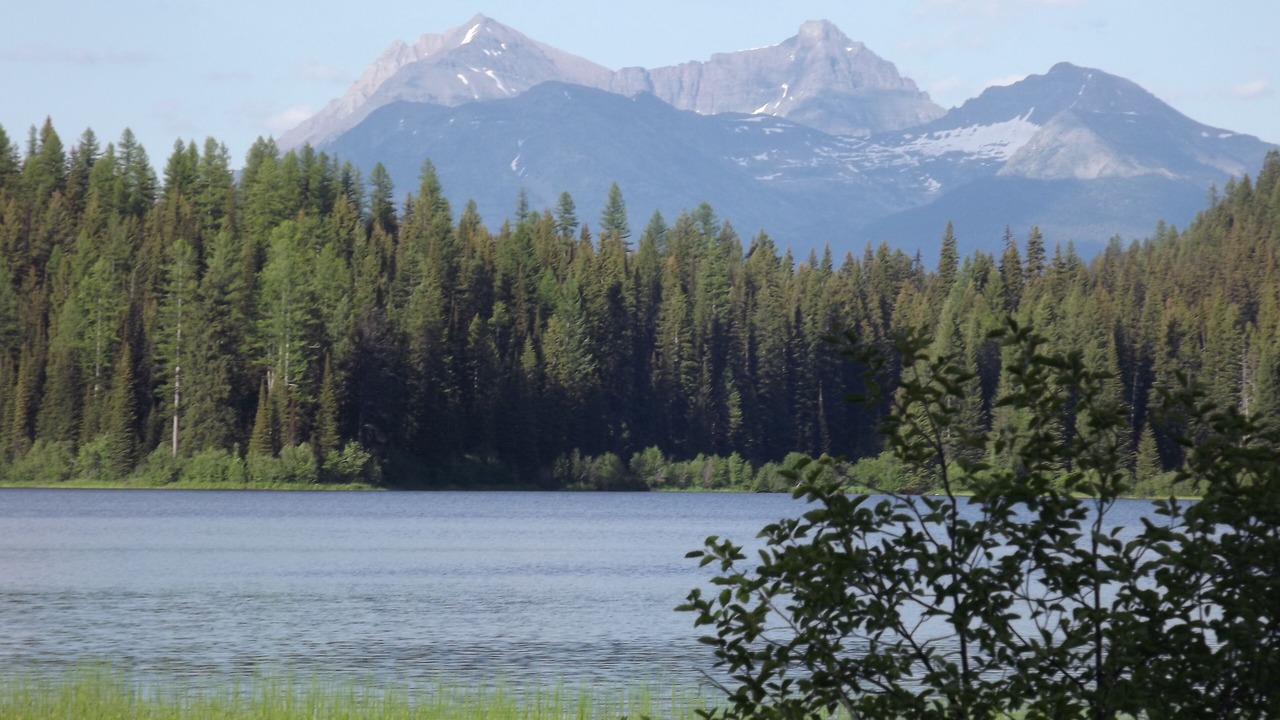 Photo of Others in West Glacier