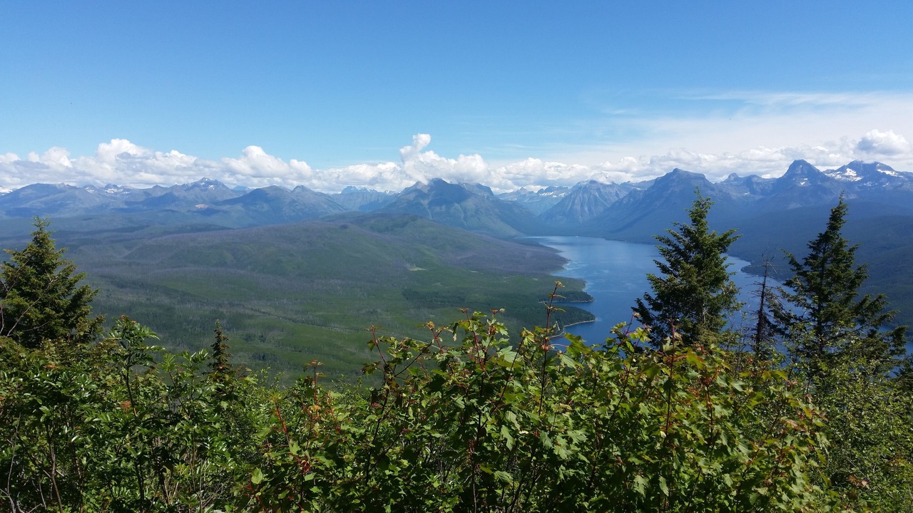 Photo of Others in West Glacier