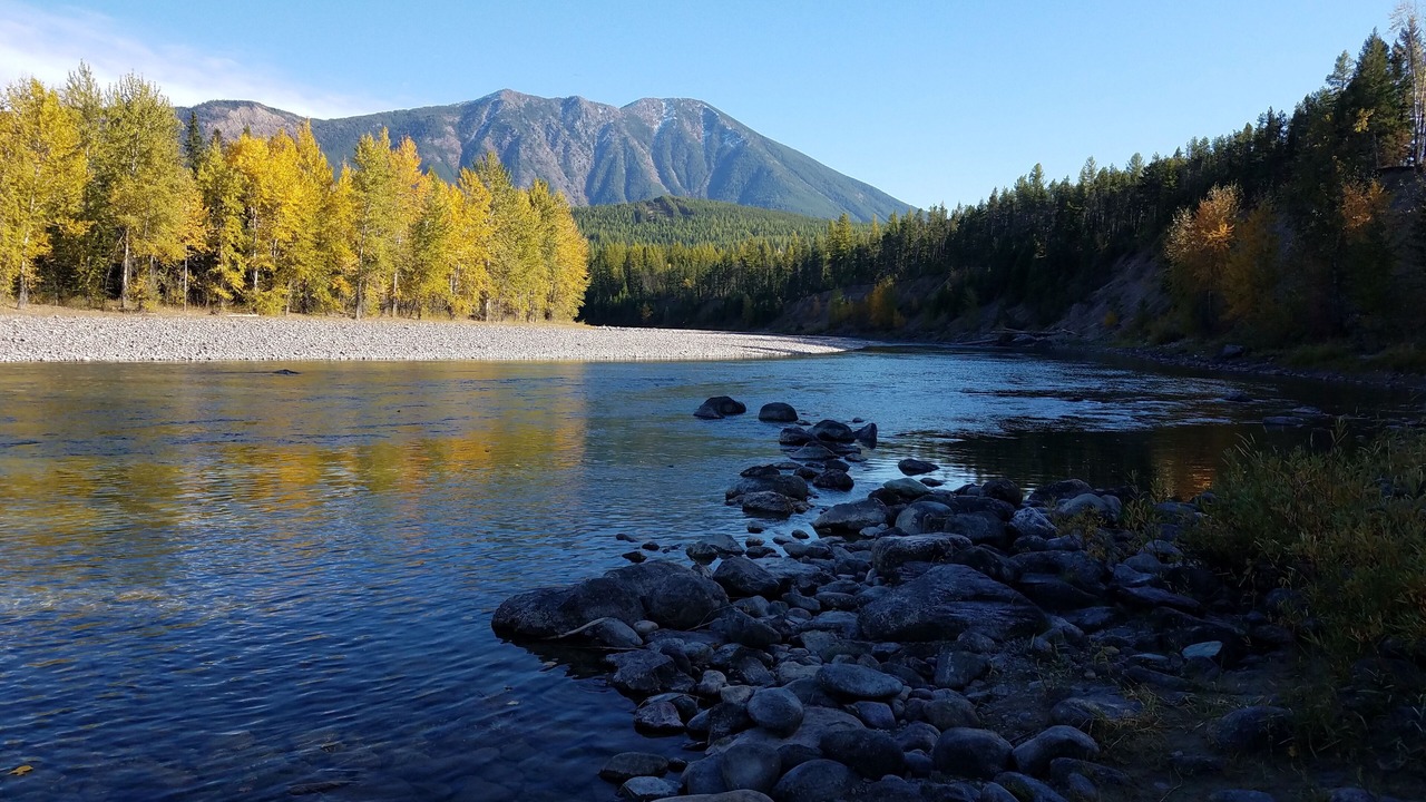 Photo of Others in West Glacier