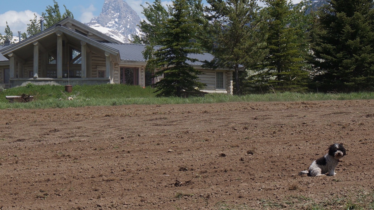 Photo of Outdoor in Alta