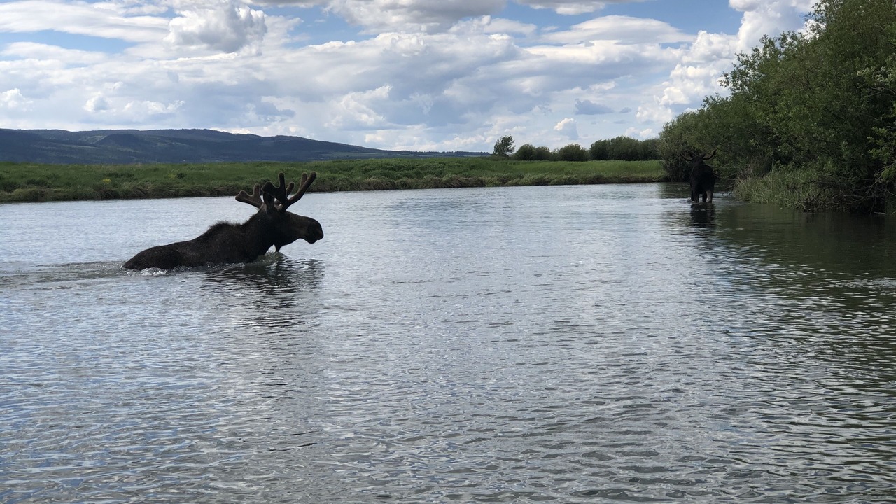 Photo of Others in Alta
