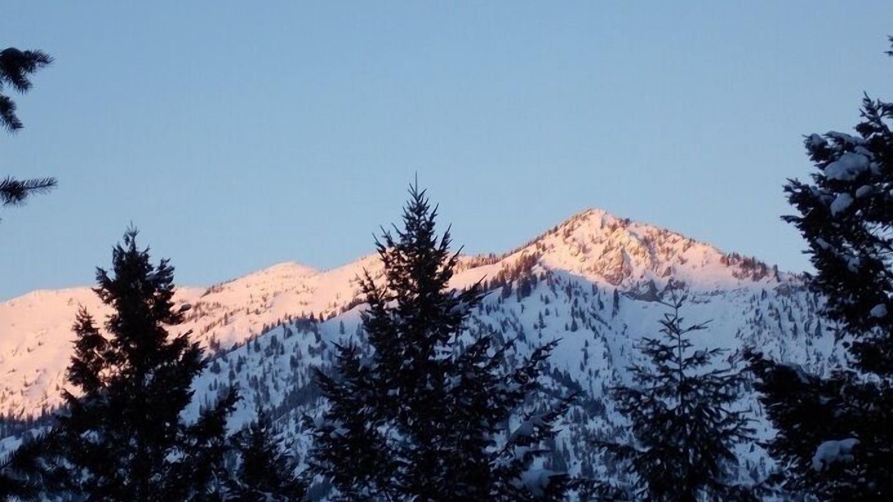 Photo of Others in Alpine