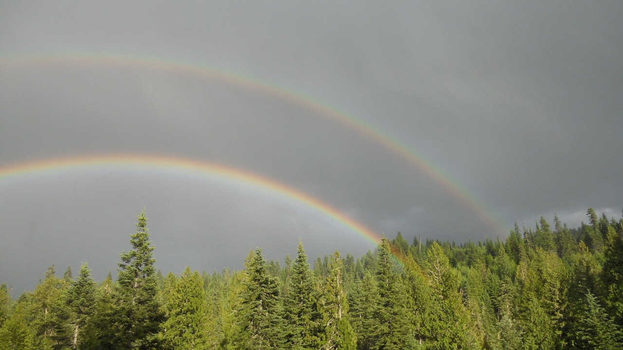 Photo of Others in Kooskia