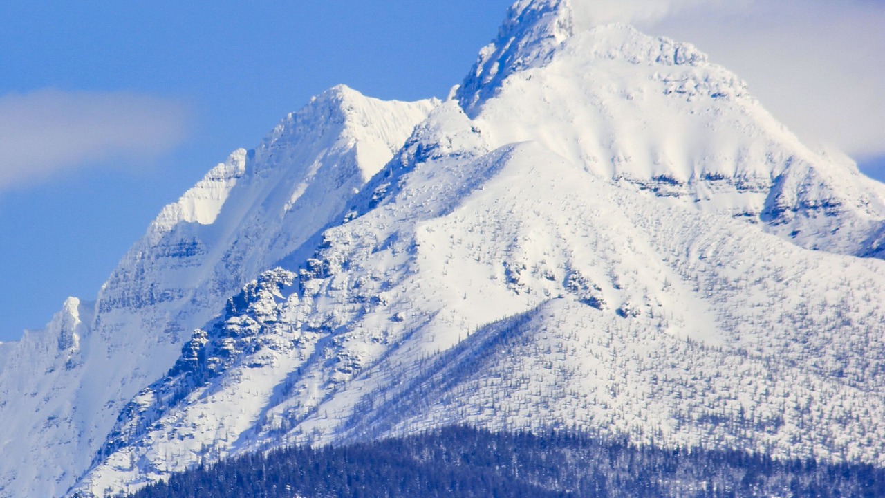 Photo of Others in Polebridge