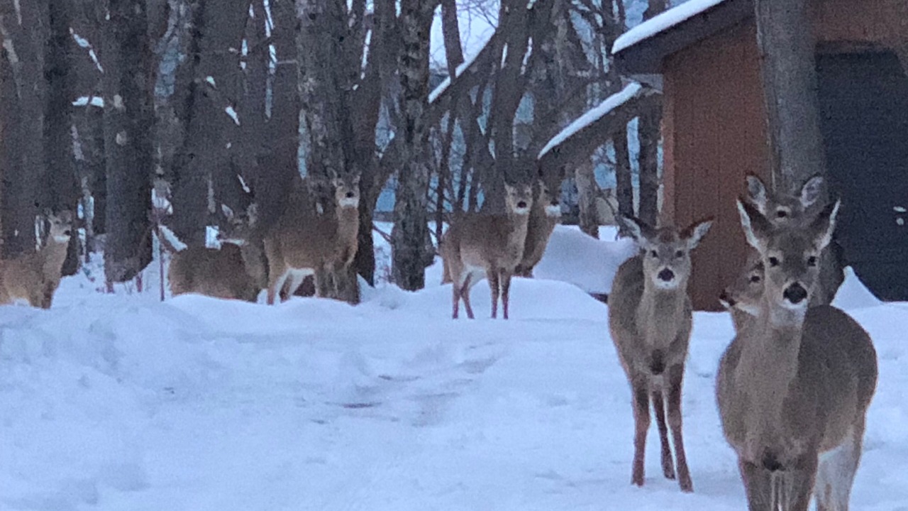 Photo of Outdoor in Jim Thorpe