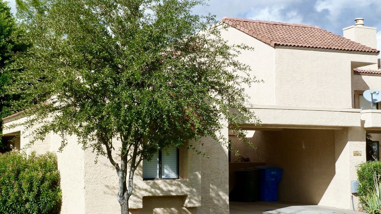 Photo of Outdoor in Quail Hill