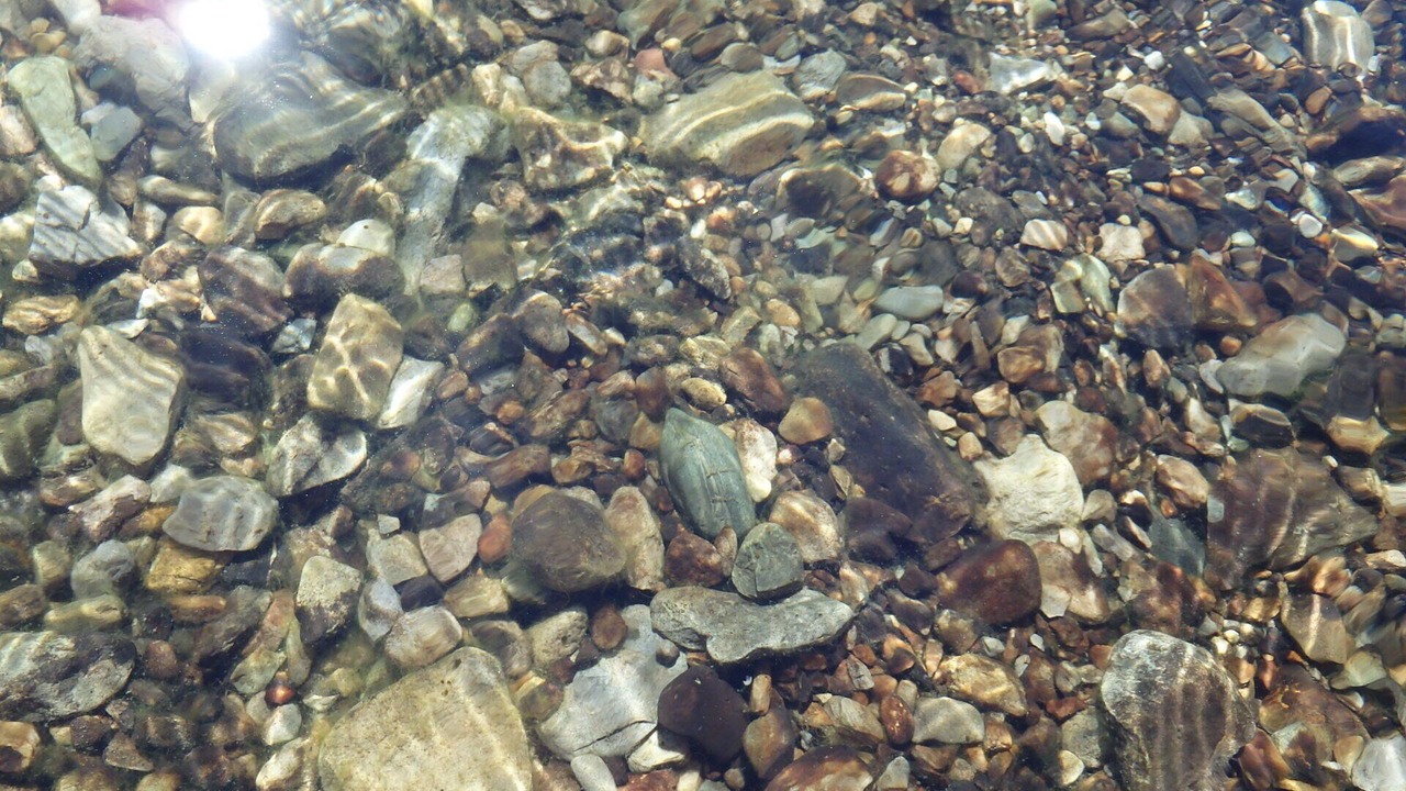 Photo of Others in Marion