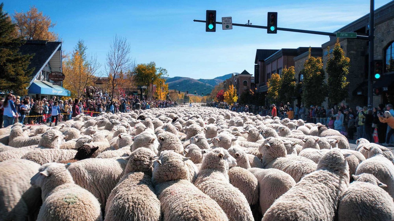 Photo of Others in Ketchum