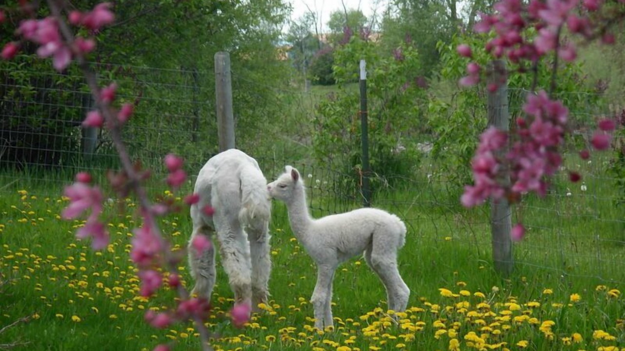 Photo of Others in Bozeman