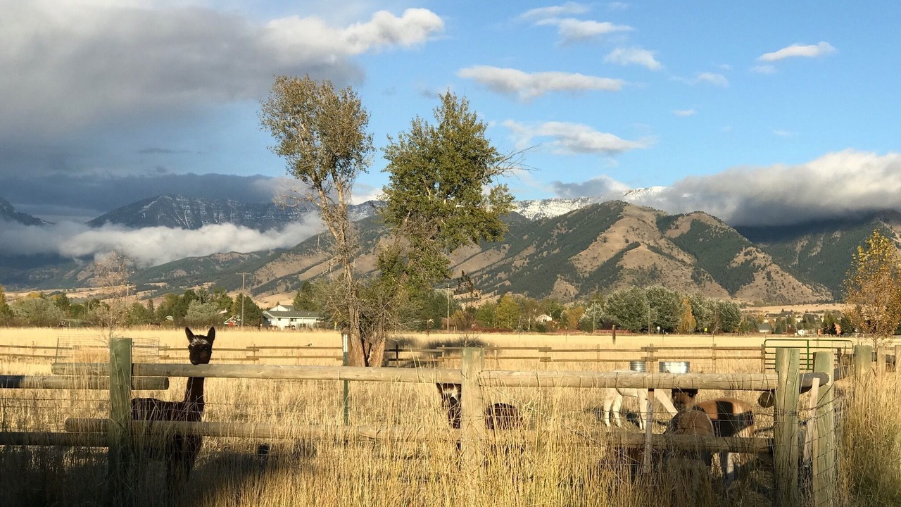 Photo of Others in Bozeman