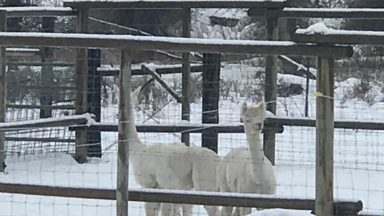 Photo of Others in Bozeman