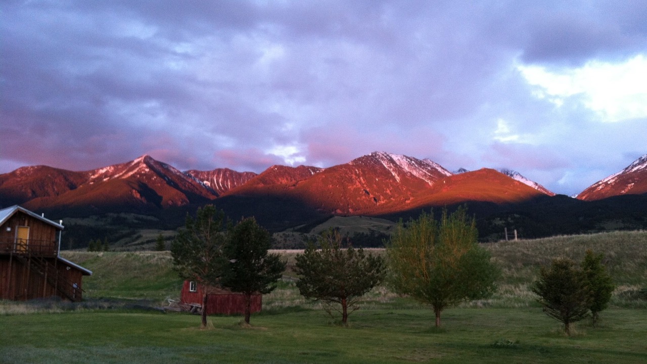 Photo of Outdoor in Livingston