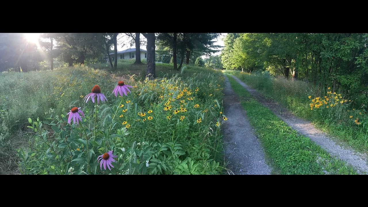 Photo of Outdoor in Peninsula
