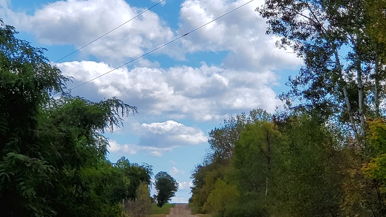 Photo of Outdoor in Frazee