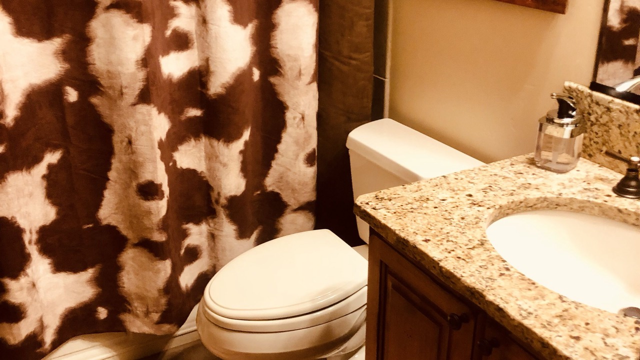Photo of Bathroom in Victor