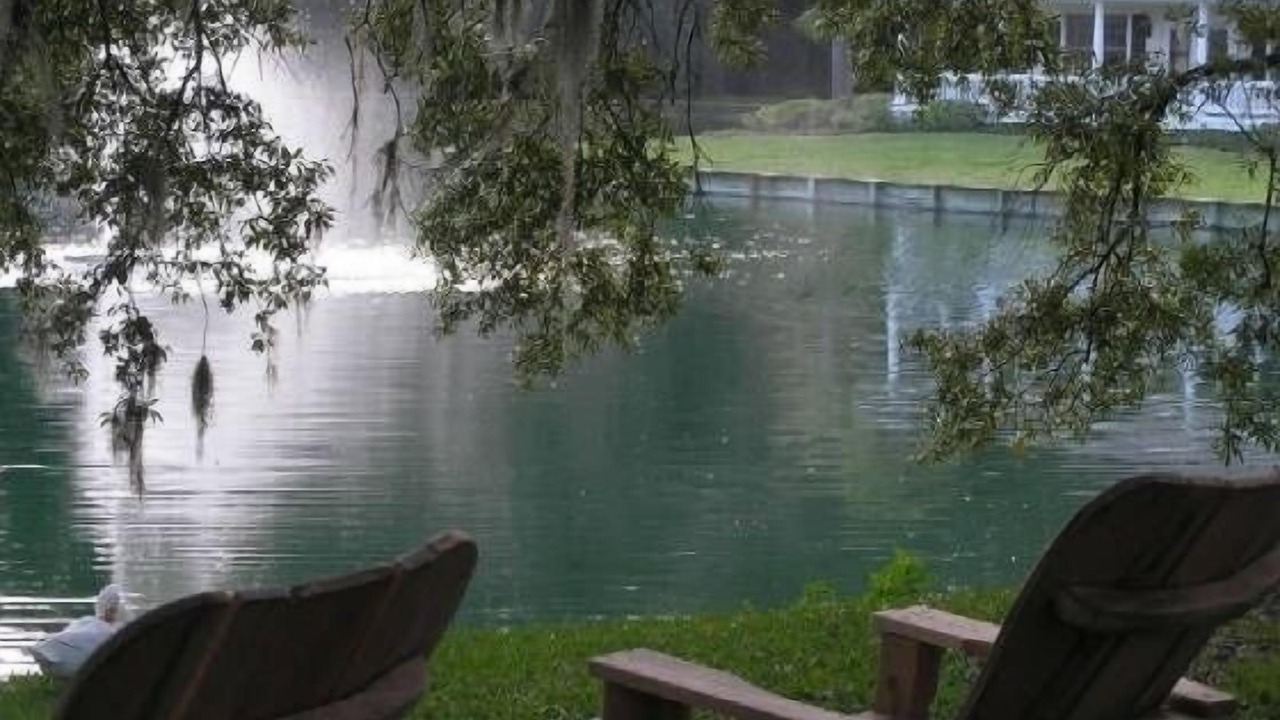 Photo of Others in Demere Park