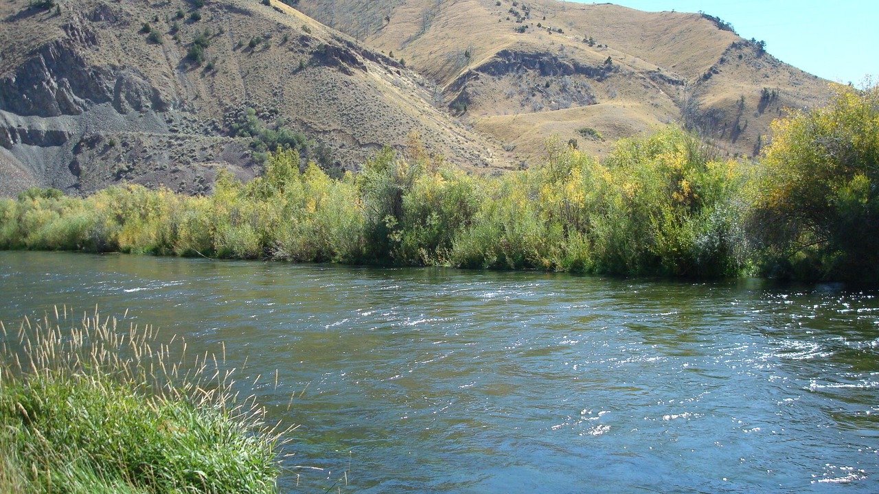 Photo of Others in Dillon