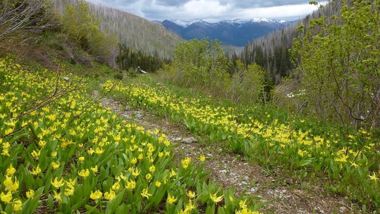 Photo of Outdoor in Coram