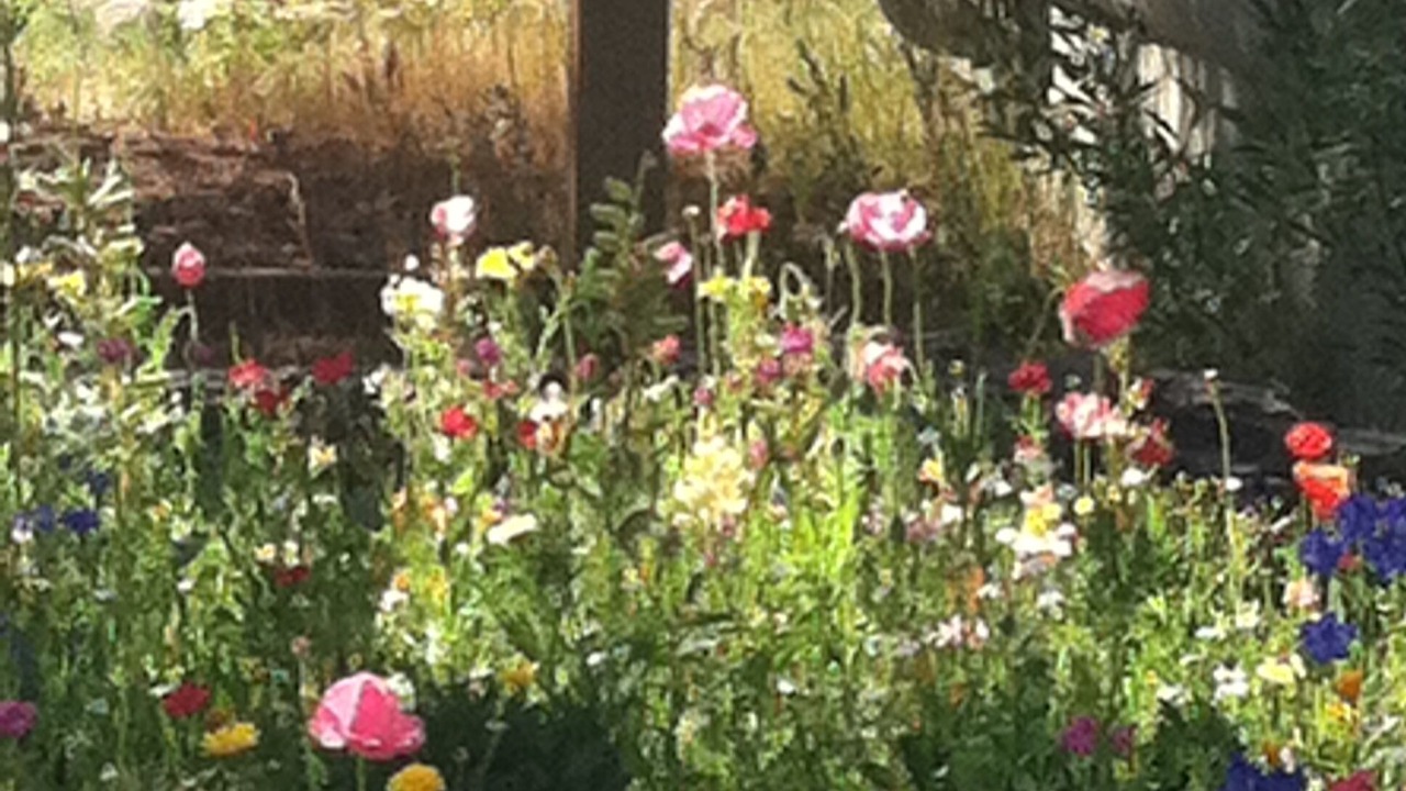 Photo of Outdoor in West Yellowstone