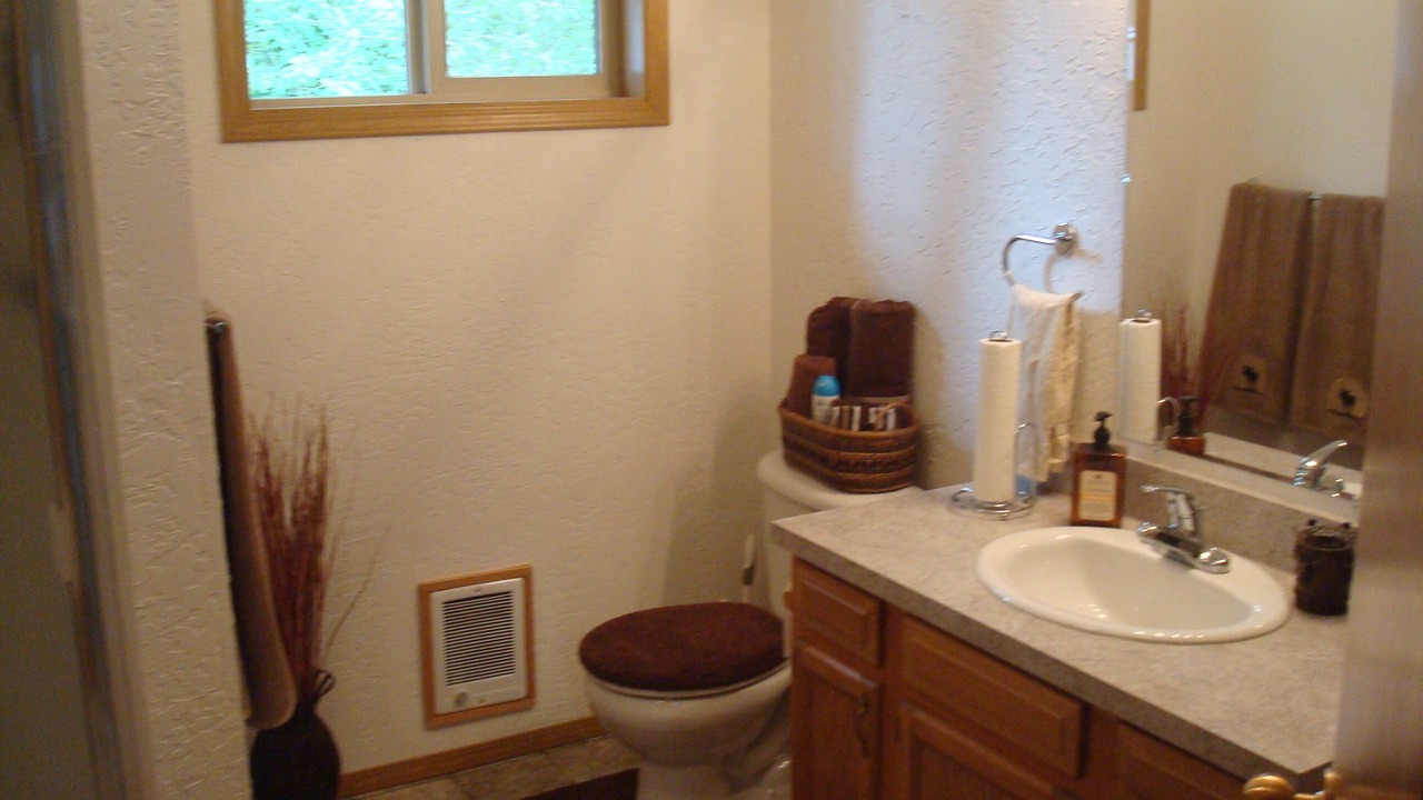 Photo of Bathroom in Mountain Home