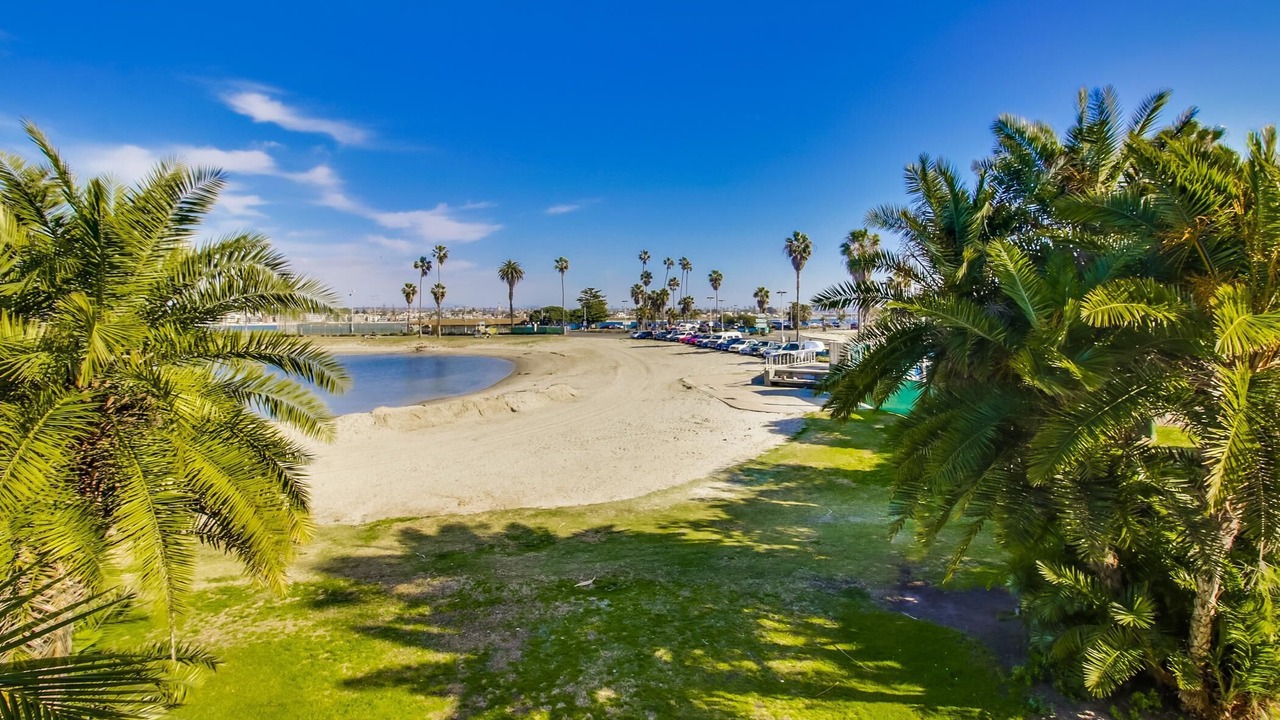 Photo of Others in Mission Beach