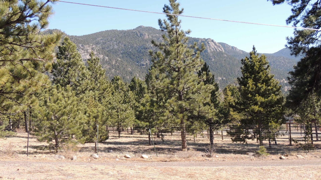 Photo of Others in Estes Park