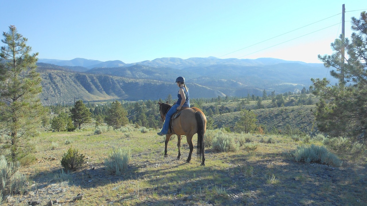 Photo of Others in Helena