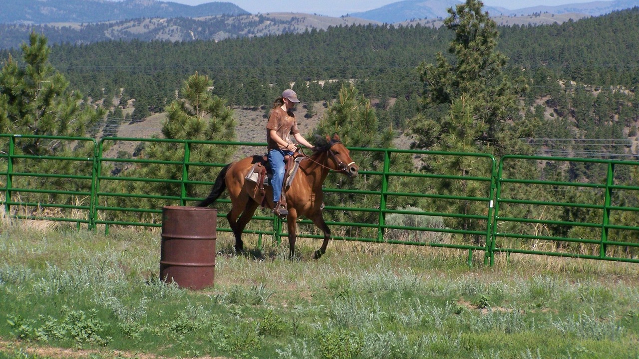 Photo of Others in Helena