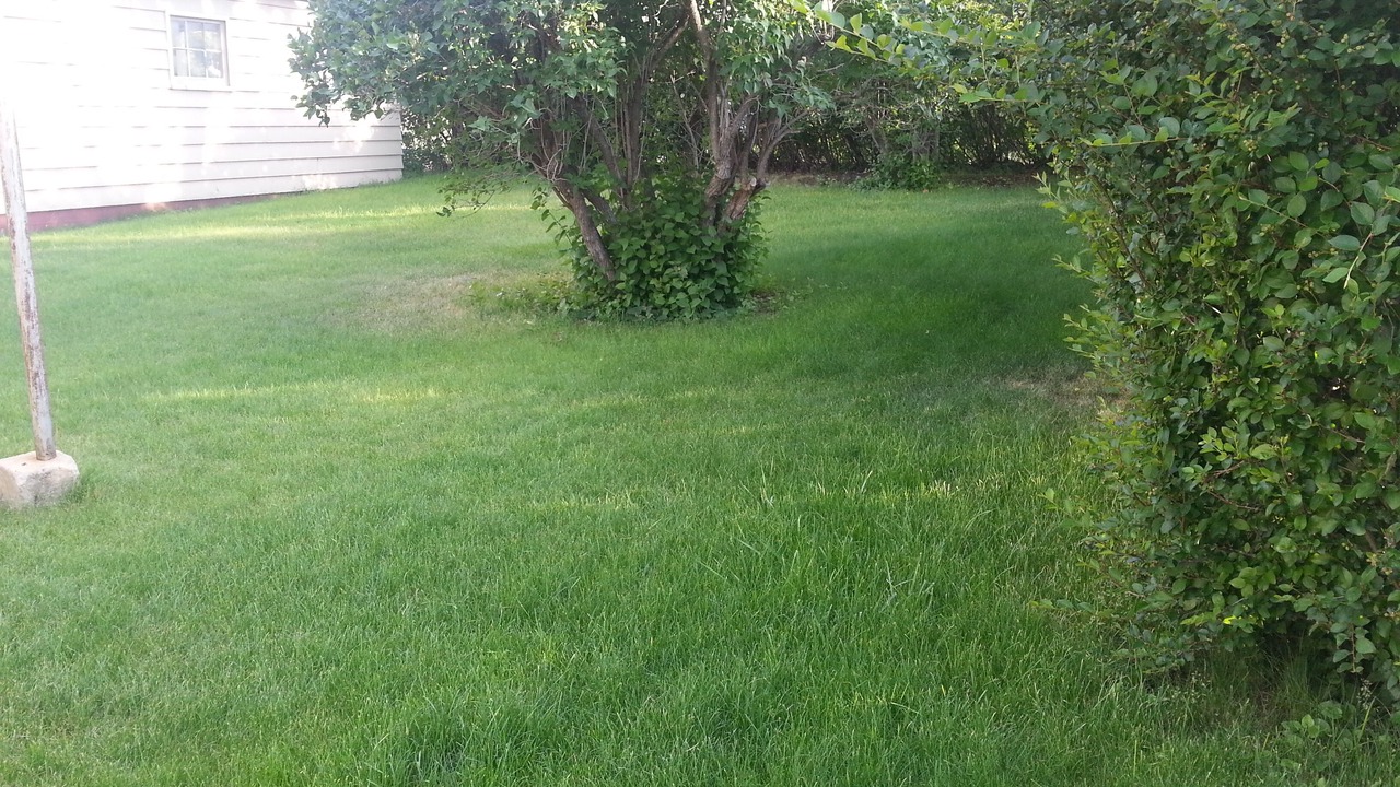 Photo of Outdoor in Anaconda