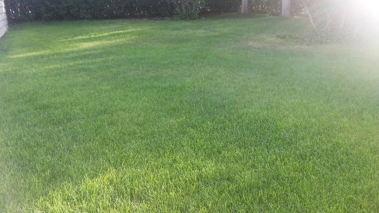 Photo of Outdoor in Anaconda