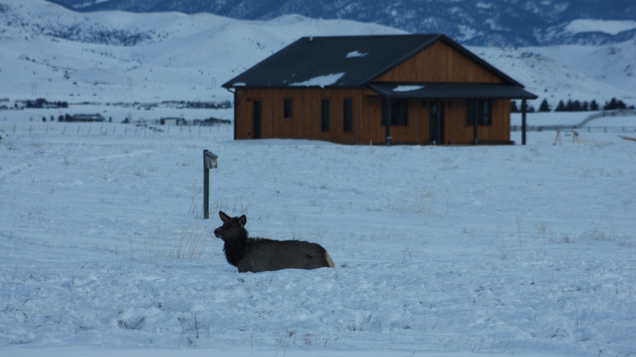 Photo of Outdoor in Livingston