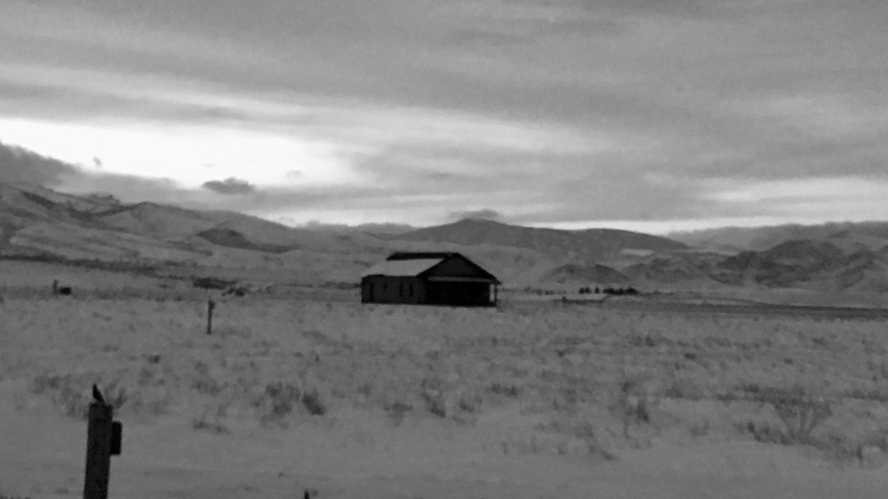 Photo of Others in Livingston