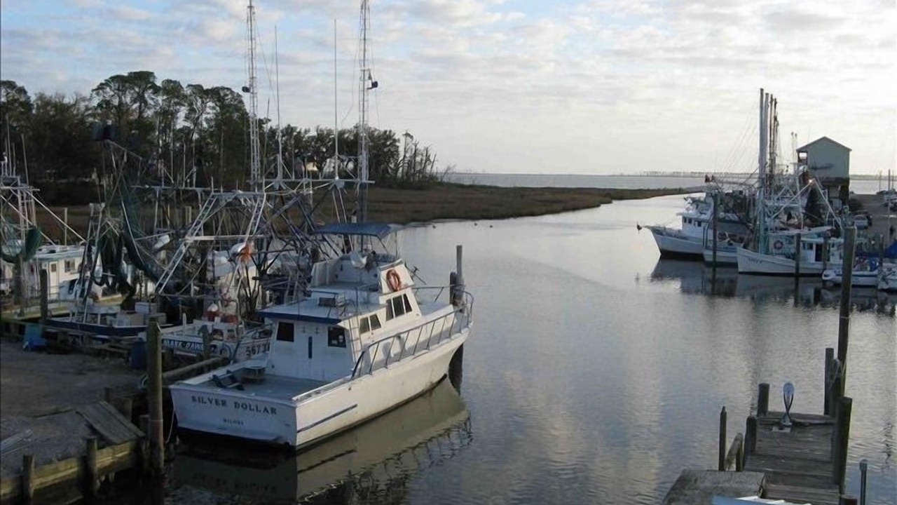 Photo of Others in Ocean Springs