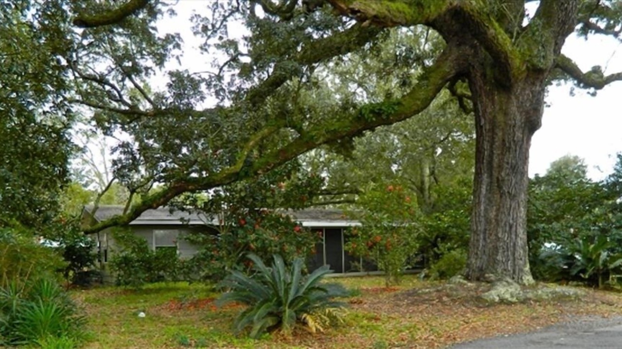 Photo of Outdoor in Ocean Springs