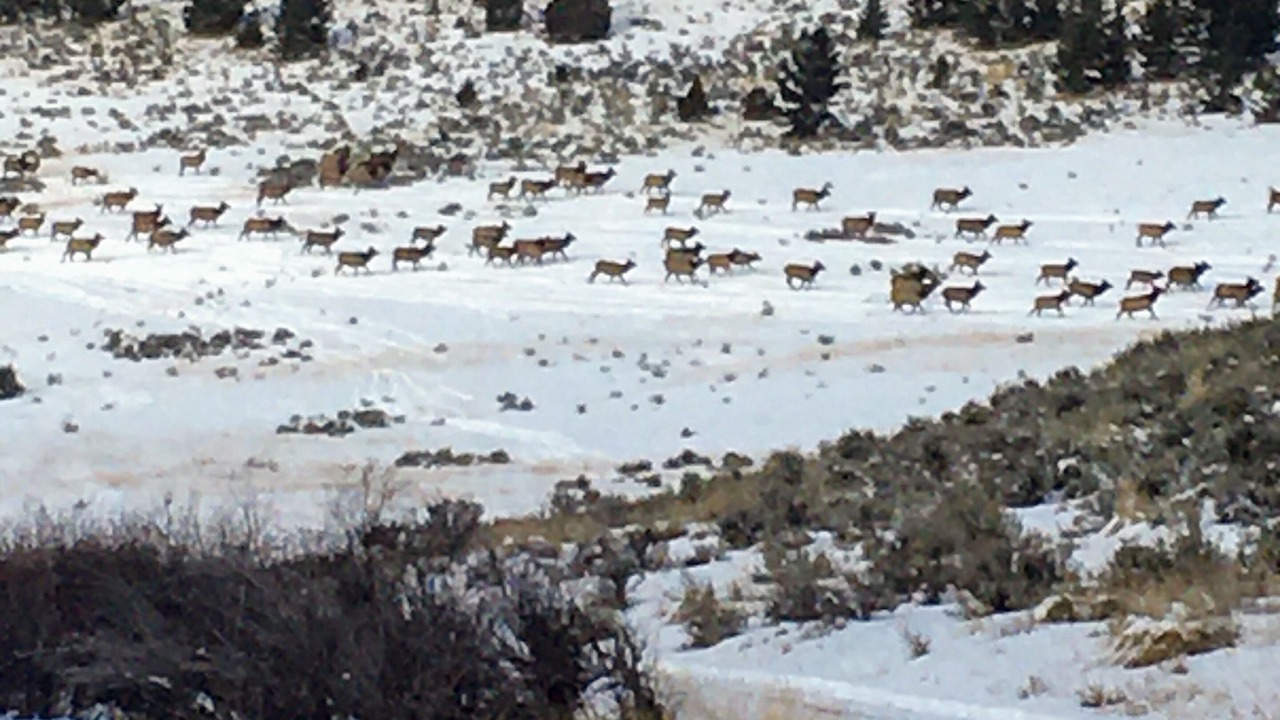 Photo of Others in Gallatin Gateway