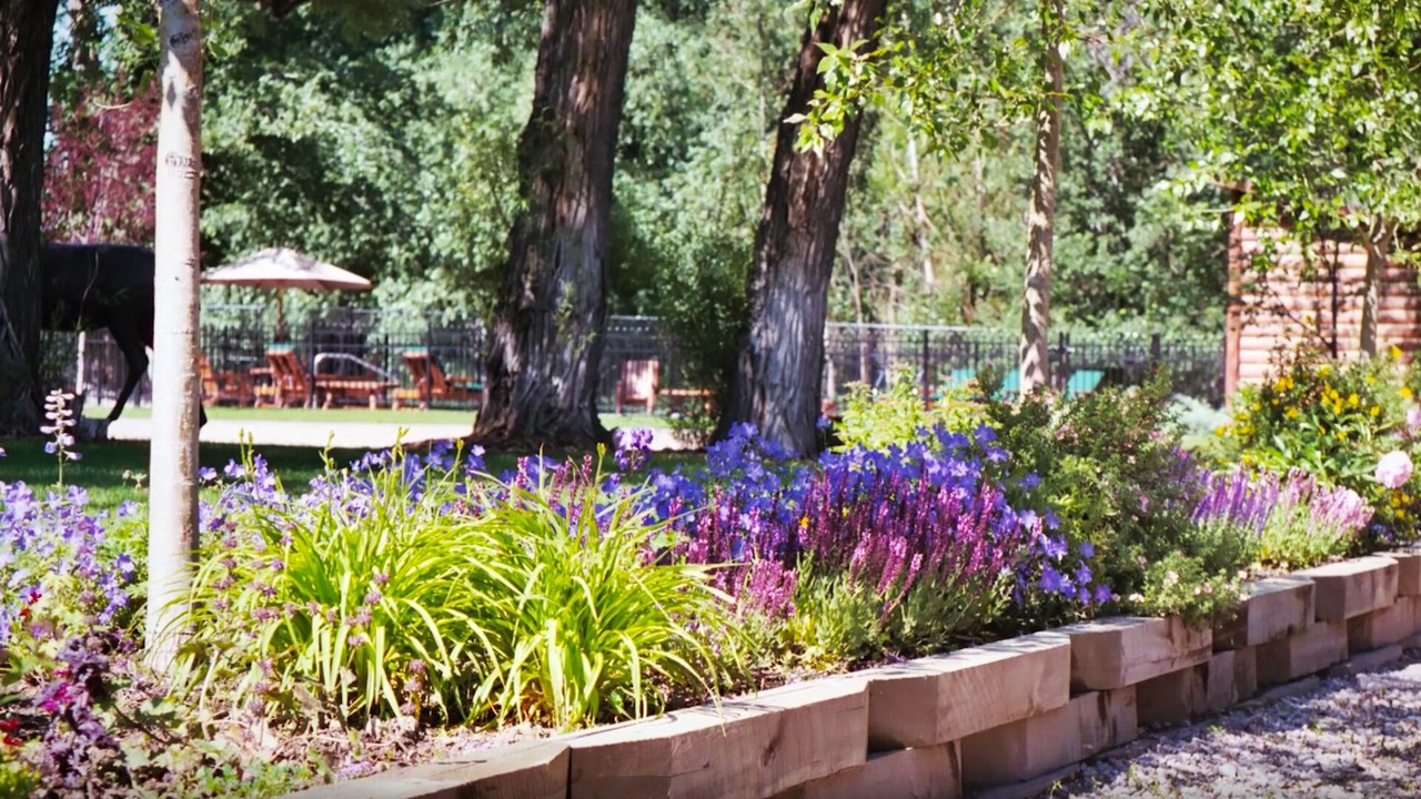 Photo of Outdoor in Ennis