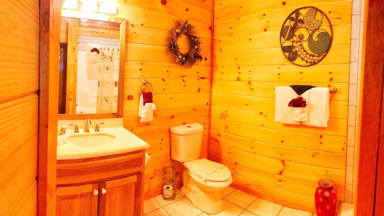 Photo of Bathroom in Wears Valley