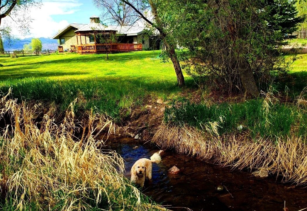 Photo of Others in Twin Bridges