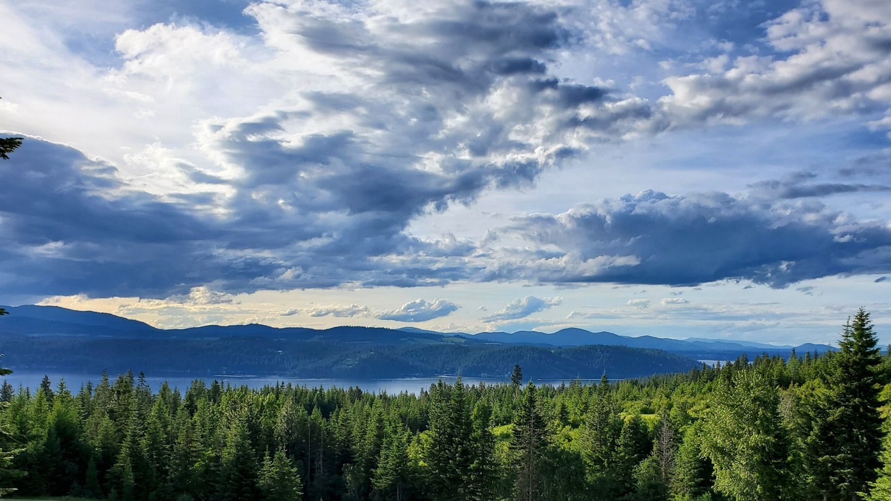 Photo of Outdoor in Harrison