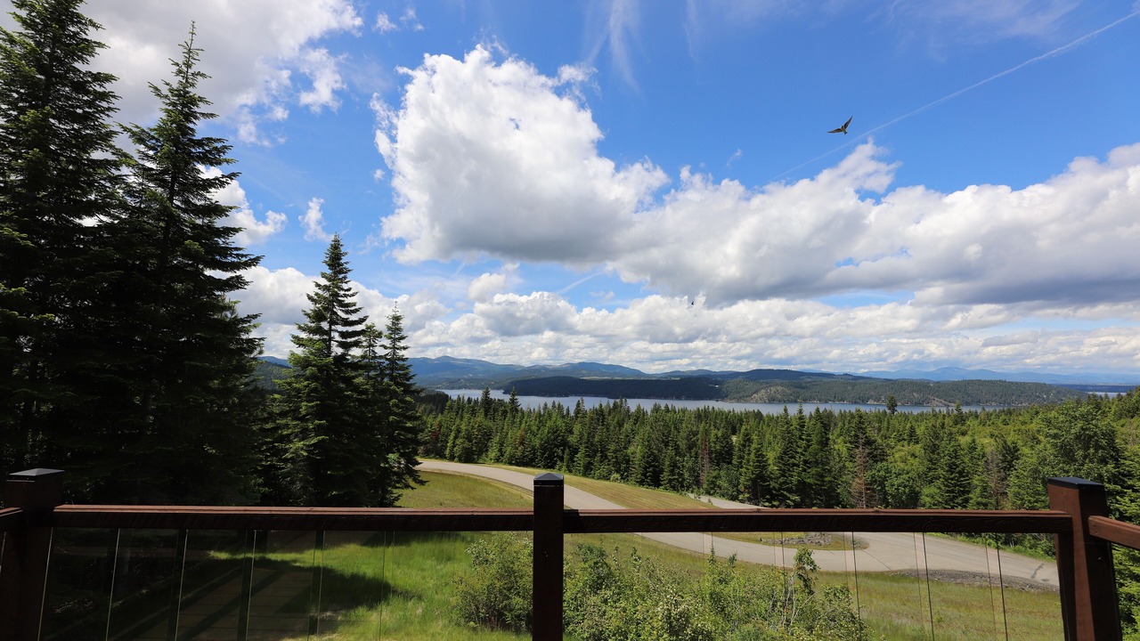 Photo of Outdoor in Harrison