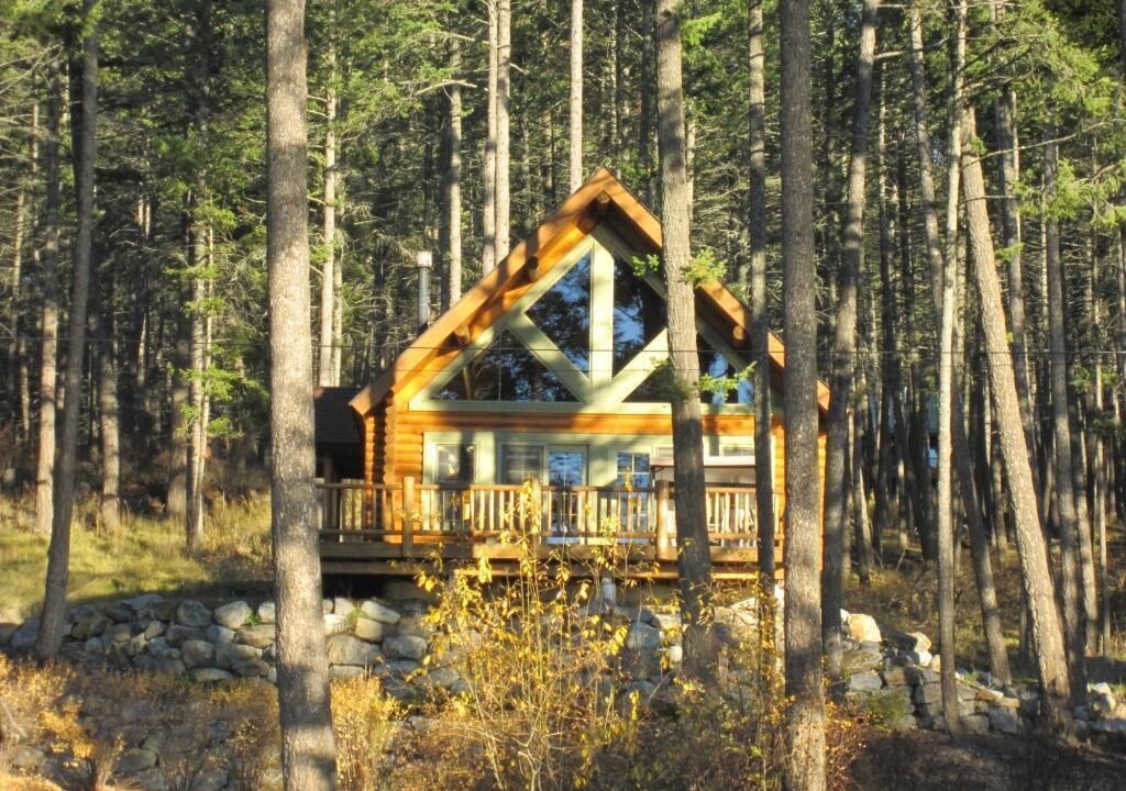 Photo of Others in Woods Bay