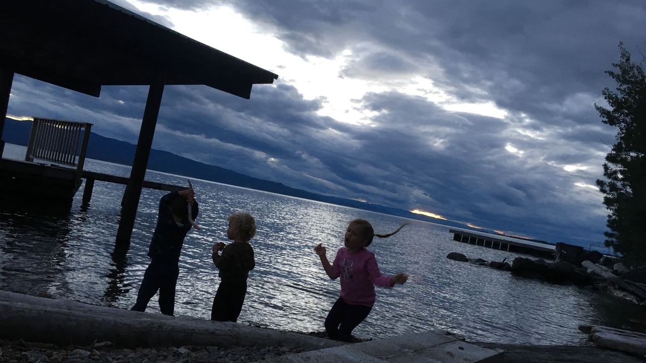 Photo of Others in Woods Bay