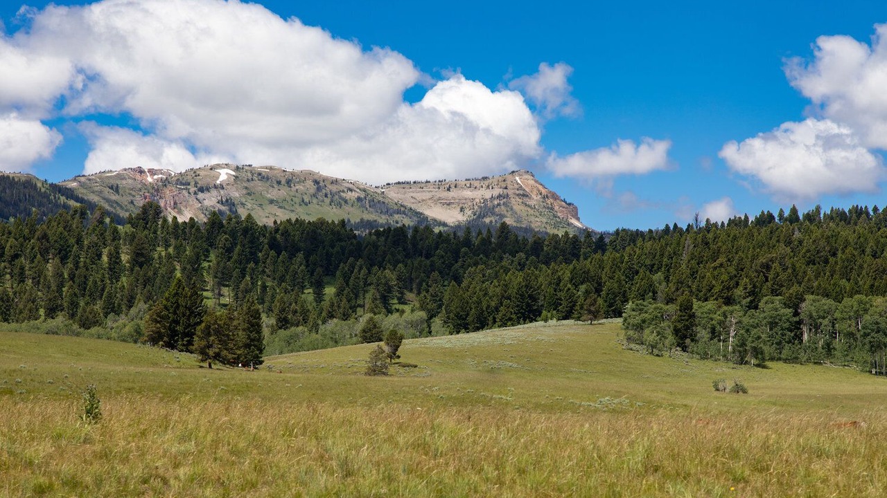 Photo of Others in West Yellowstone