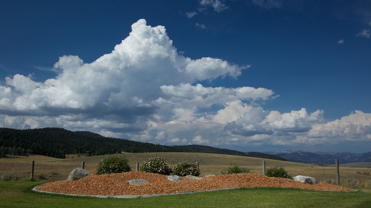 Photo of Others in West Yellowstone