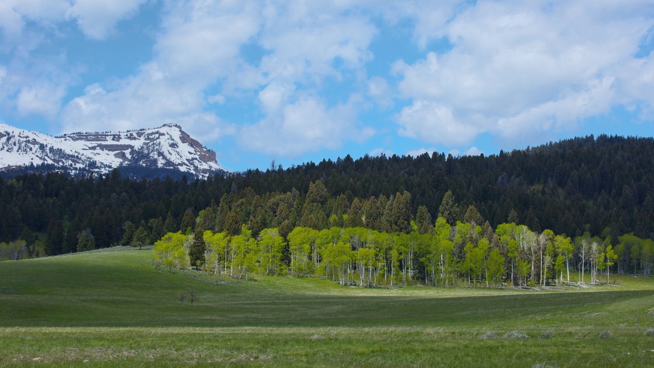 Photo of Others in West Yellowstone